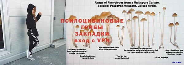 гидра Каменка