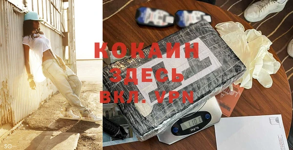 ГАЛЛЮЦИНОГЕННЫЕ ГРИБЫ Инта