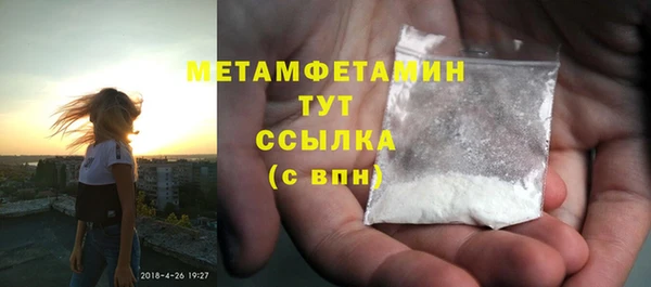 гидра Каменка