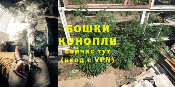 бошки Санкт-Петербург