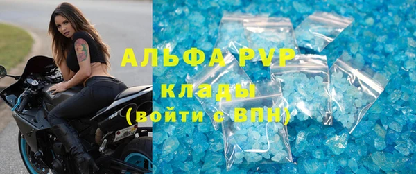 мдпв Каменногорск
