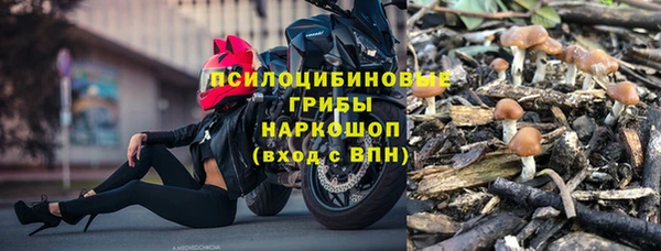 СК Каменск-Шахтинский
