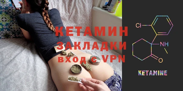 гидра Каменка