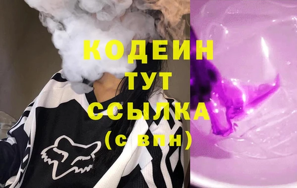 гидра Каменка