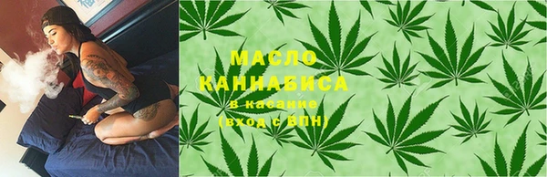 гидра Каменка