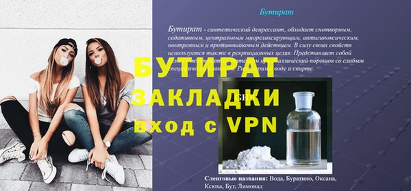 гидра Каменка