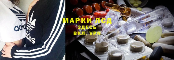 мдпв Каменногорск