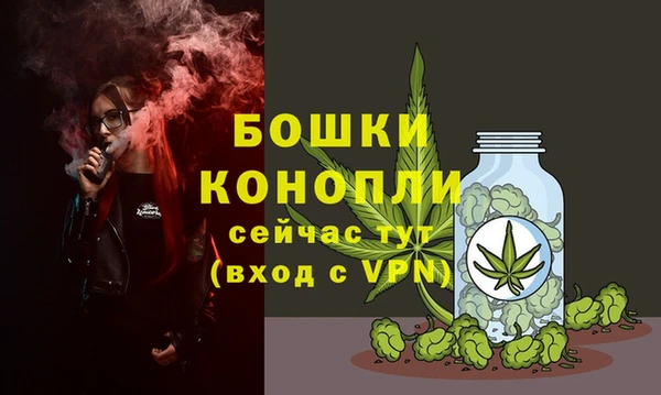 бошки Санкт-Петербург