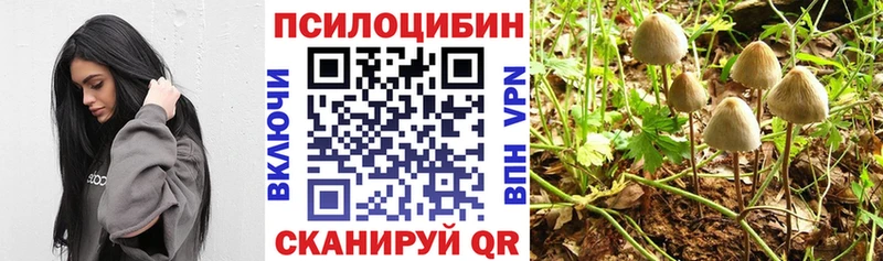 Псилоцибиновые грибы MAGIC MUSHROOMS  где купить   Славск 