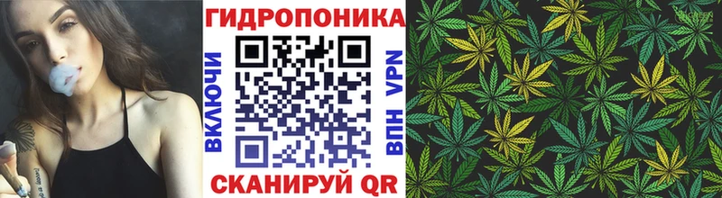 дарнет шоп  Славск  это какой сайт  Бошки Шишки SATIVA & INDICA 